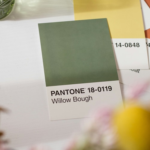 Couleur de l'année Pantone